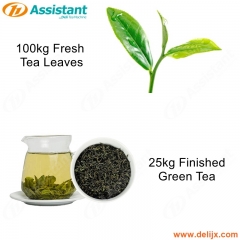 25kg yeşil çay bitmiş 100kg taze yeşil çay işleme üretim makinesi