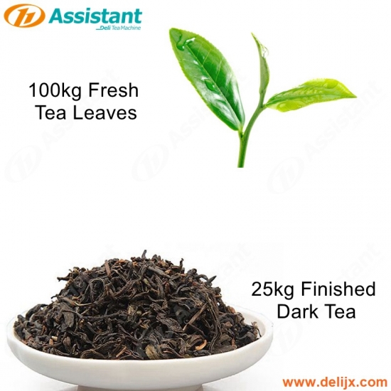 100kg taze çay yaprakları işleme 25kg bitmiş koyu çay işleme üretim makineleri