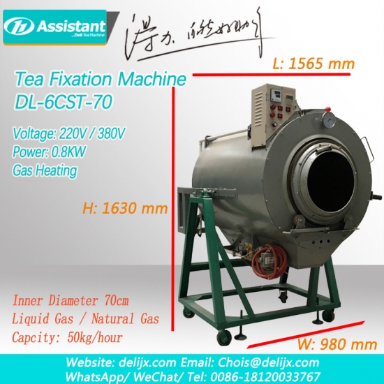 Dl-6cst-70 çay yaprakları fiksasyon işleme ekipmanları yeşil çay sabitleme makinesi