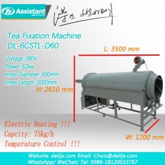 Elektrikli ısıtma sürekli yeşil çay vapuru makinesi dl-6cstl-d60