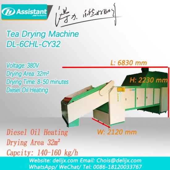 Zincir plaka siyah çay yaprağı kemer tipi sürekli çay yaprağı kurutma makinesi dl-6chl-cy