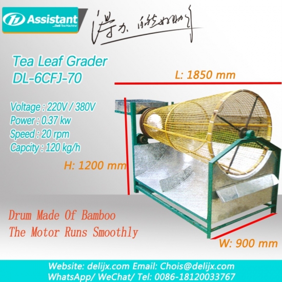 taze çay yaprakları sınıflandırma sınıflandırma makinesi dl-6cfj-70