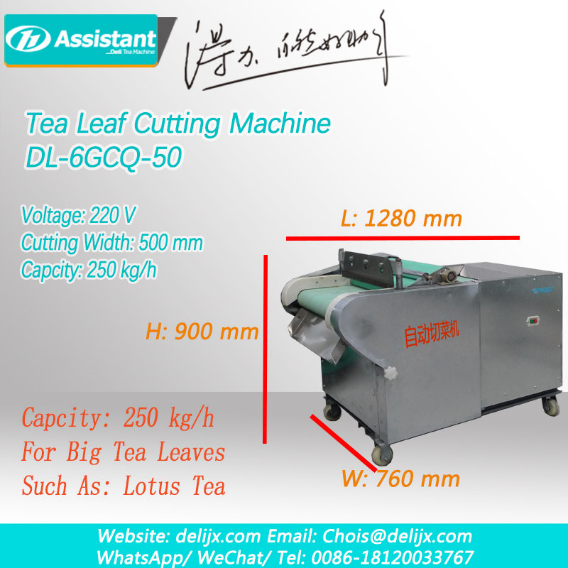 Yeşil çay yaprağı kesici makinesi çay parçalayıcı lotus yaprağı kesme makinası dl-6gcq-50 bırakır